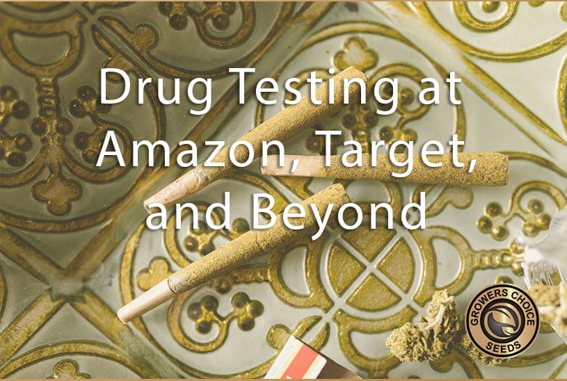 drug testing at amazon, target, and beyond