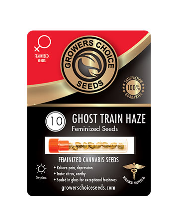 shop-for-reliable-marijuana-seeds-Ghost-Train-Haze-Feminized-Cannabis-Seeds-10