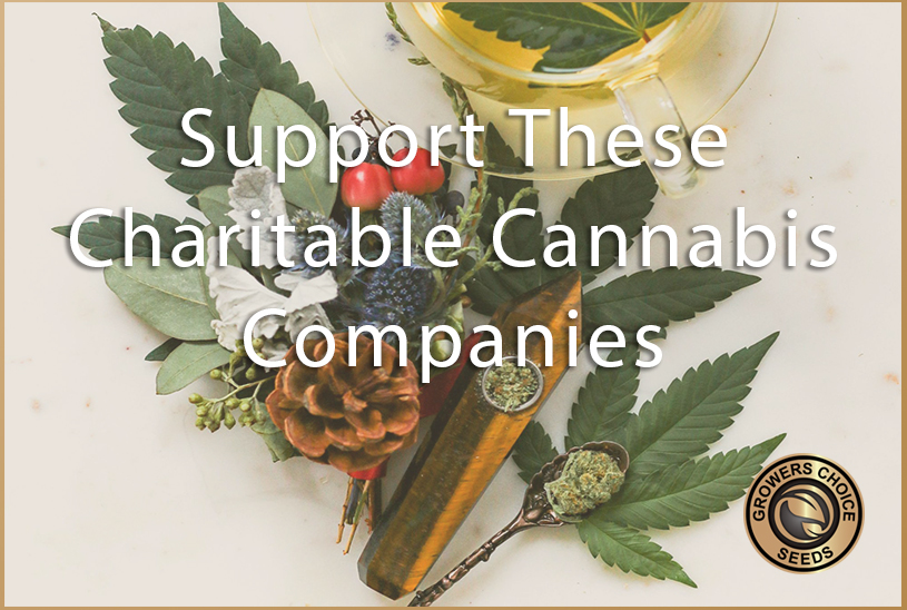 Charitable Cannabis