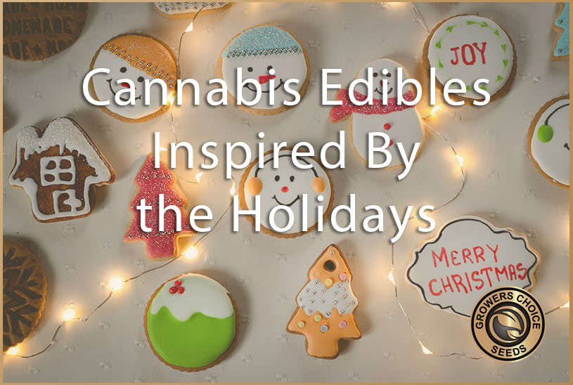 Cannabis Edibles to Get You In the Holiday Spirit
