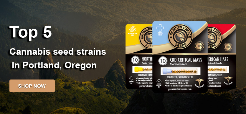 Top 5 Cannabis Seeds in Portland, OR in 2023