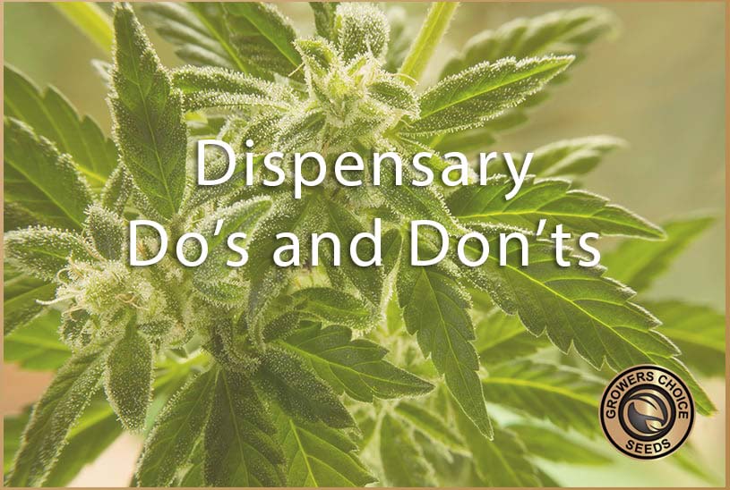 dispensary dos and don'ts
