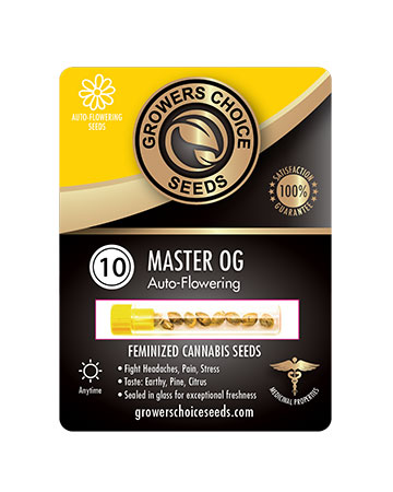 Shop For Reliable Marijuana Seeds 10 Master Og