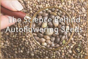 the science behind autoflowering seeds