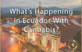 What's happening in ecuador with cannabis