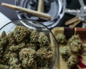 get Wholesale Feminized Cannabis Seeds