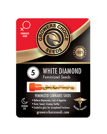 shop-for-reliable-marijuana-seeds-5-white-diamond