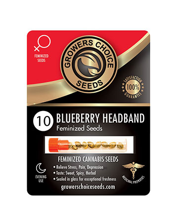 shop-for-reliable-marijuana-seeds-Blueberry-Headband-Feminized-Cannabis-Seeds-10[1]