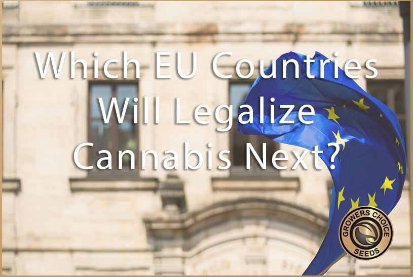 Which EU Countries Will Legalize Cannabis Next?