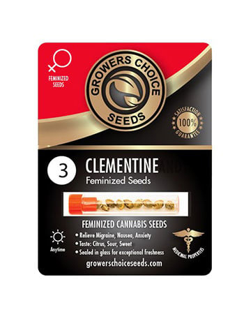 Buy Clementine Cannabis Seeds Pack 3