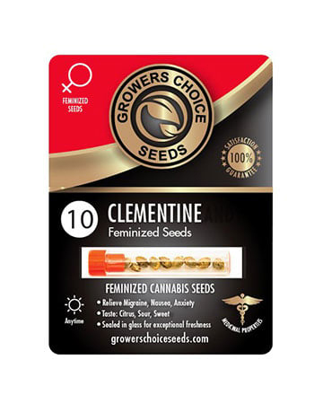 Buy Clementine Weed Seeds Pack 10