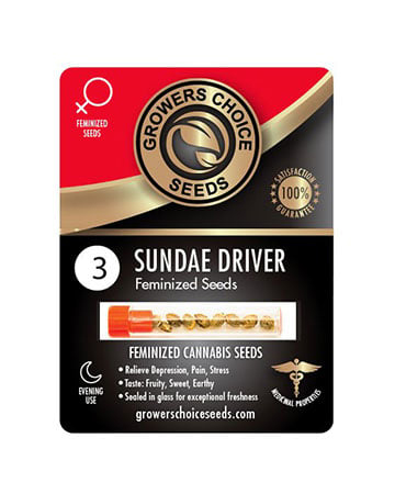 Buy Sundae Driver Strain Seeds Pack 3