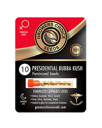 shop-for-reliable-marijuana-seeds-10-presidential-bubba-kush