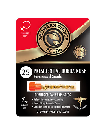 shop-for-reliable-marijuana-seeds-25-presidential-bubba-kush