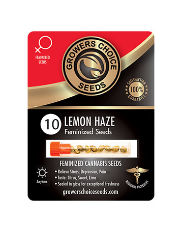 shop-for-reliable-marijuana-seeds-Lemon-Haze-Feminized-Cannabis-Seeds-10