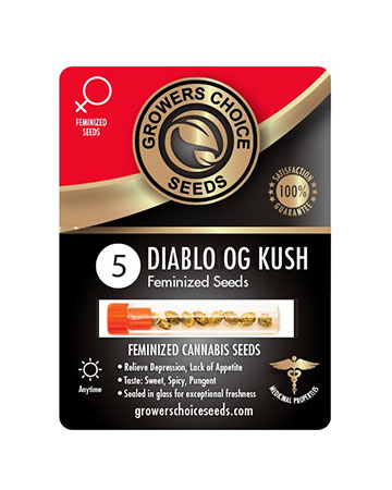 shop-for-reliable-marijuana-seeds-Wholesale-Diablo-OG-Kush-Feminized-Cannabis-Seeds-on-sale-5