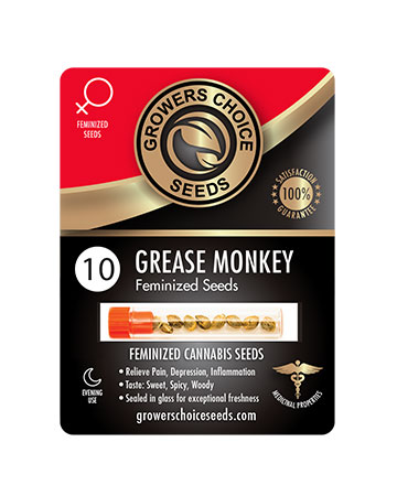 shop-for-reliable-marijuana-seeds-Grease-Monkey-Feminized-Cannabis-Seeds-10