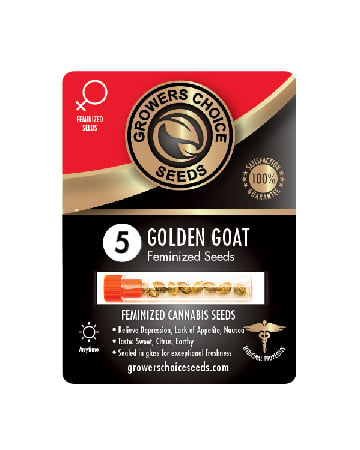 Buy Golden Goat Seeds Pack 5