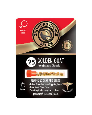 Buy Golden Goat Strain Seeds Pack 25