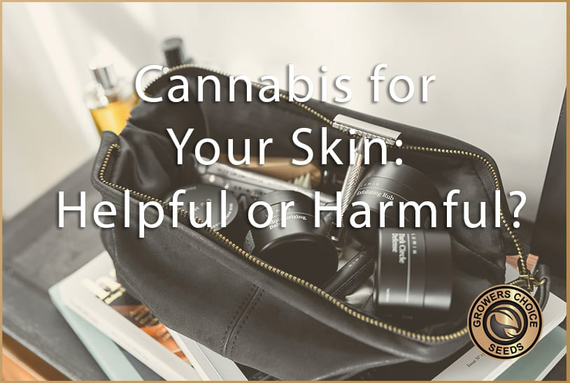 Cannabis for Your Skin Health: Helpful or Harmful?