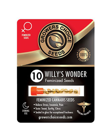 buy-Willys-Wonder-Feminized-Cannabis-Seeds-packs-of-10