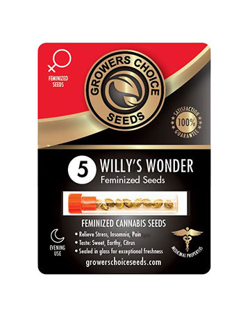buy-Willys-Wonder-Feminized-Cannabis-Seeds-packs-of-5