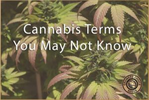 cannabis terms you may not know