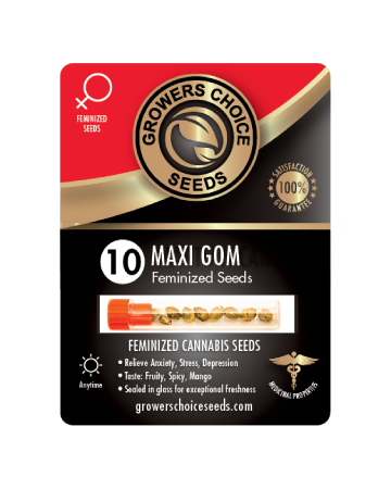 find Maxi GoM Feminized Cannabis Seeds