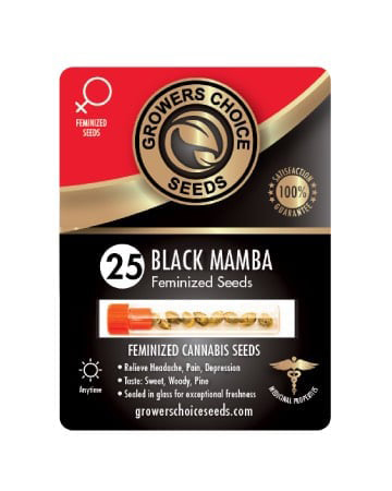 Buy Black Mamba Strain Seeds Pack 25