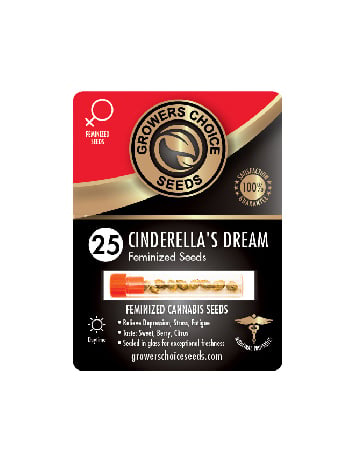 Buy Cinderellas Dream Feminized Cannabis Seeds 25 Pack