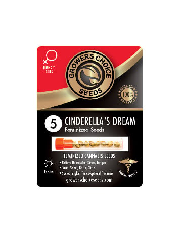 Buy Cinderellas Dream Feminized Cannabis Seeds 5 Pack