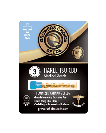 Shop For Harle Tsu CBD Medial Feminized Marijuana Seed 3 Pack