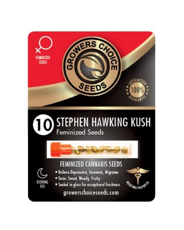 Shop For Stephen Hawking Kush Feminized Cannabis Seeds 10 Pack