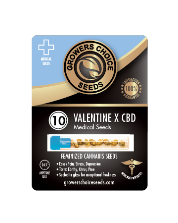 Shop For Valentine X Feminized Cannabis Seeds 10 Pack