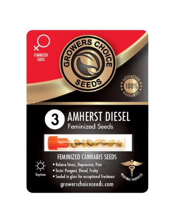 dliver wholesale Amherst Diesel Feminized Cannabis Seeds