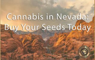 Cannabis in Nevada