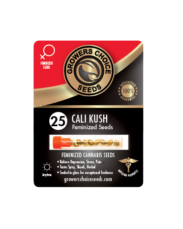 Shop For Cali Kush Auto Flowering Feminized Cannabis Seeds 25 Pack