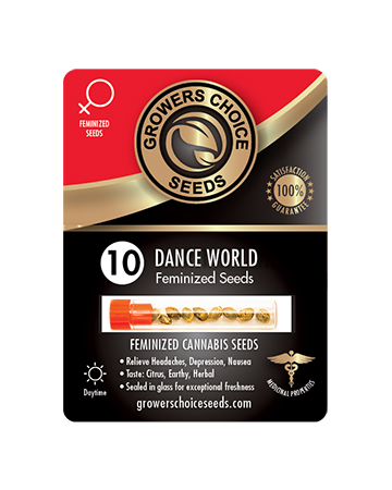 Shop For Dance World Feminized Cannabis Seeds 10 Pack