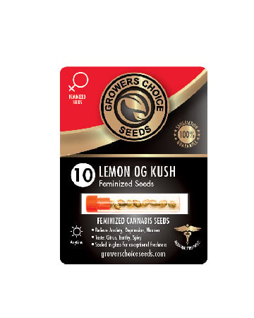 Shop For Deliver Lemon OG Kush Feminized Cannabis Seeds 10 Package