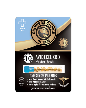 Shop For Get Avidekel CBD Medical Feminized Cannabis Seeds 10 Pack
