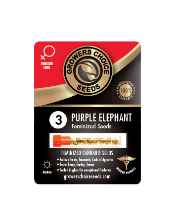 Buy Purple Elephant Feminized Cannabis Seeds For Sale 3 Pack