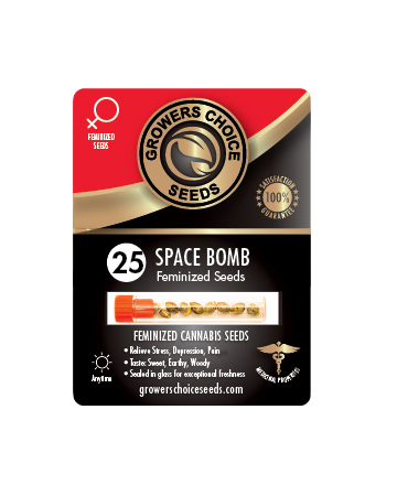 Buy Space Bomb Feminized Cannabis Seeds 25 Pack
