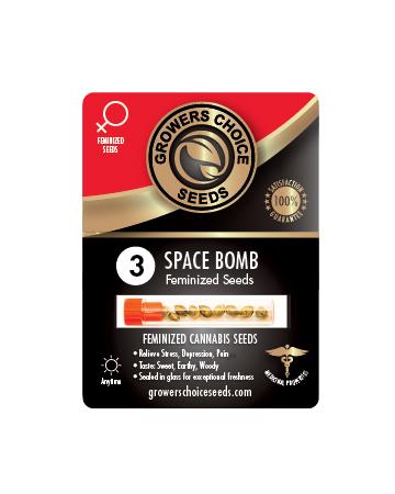 Buy Space Bomb Feminized Cannabis Seeds 3Pack