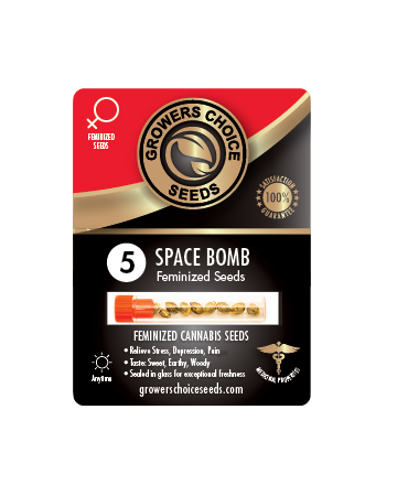 Buy Space Bomb Feminized Cannabis Seeds 5Pack