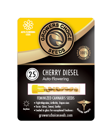 Get Cherry Diesel Auto Flowering Feminized Cannabis Seeds 25 Pack