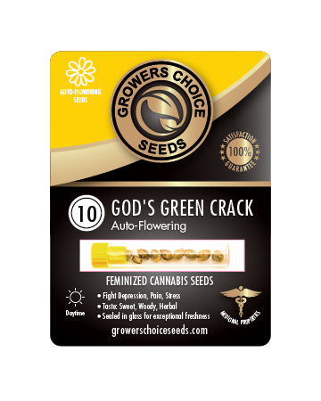 Get Gods Green Crack Auto Flowering Feminized Cannabis Seeds For Sale 10 Pack
