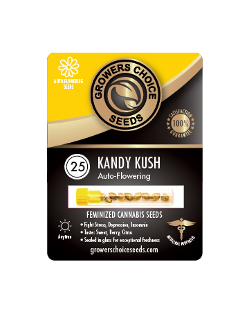Find Kandy Kush Auto Flowering Feminized Cannabis Seeds 25 Package