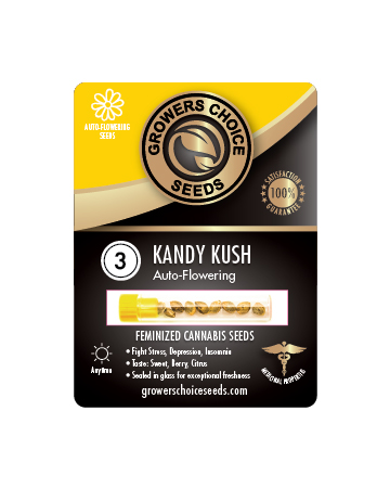 Find Kandy Kush Auto Flowering Feminized Cannabis Seeds 3 Package
