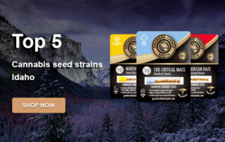 buy-top-cannabis-seeds-Idaho