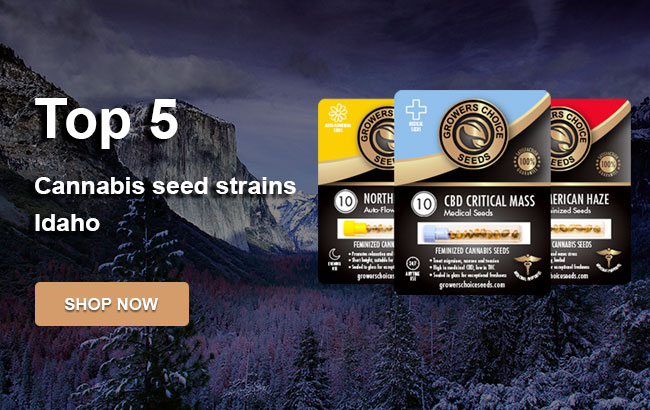 Top 5 Cannabis Seeds in Idaho in 2022